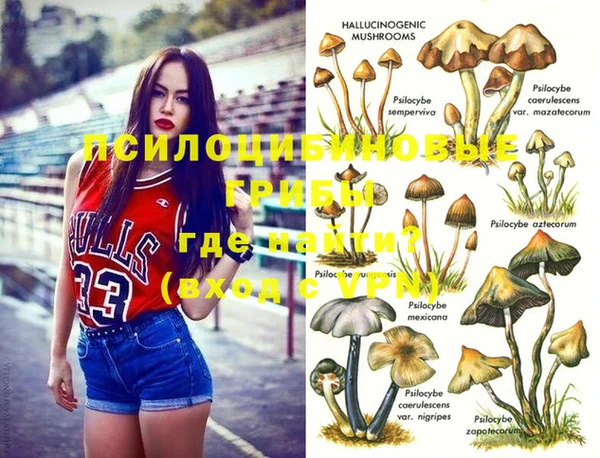 мет Алзамай