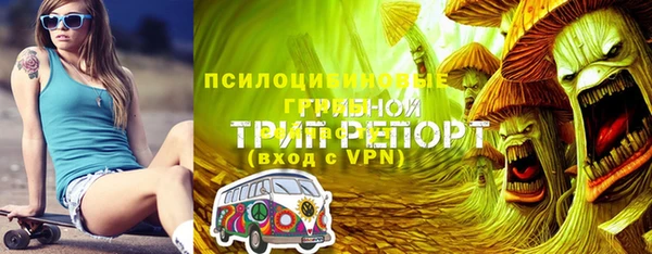 мет Алзамай