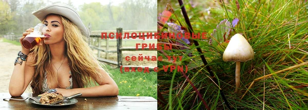 тгк Абинск