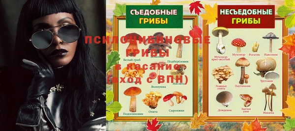 каннабис Абаза