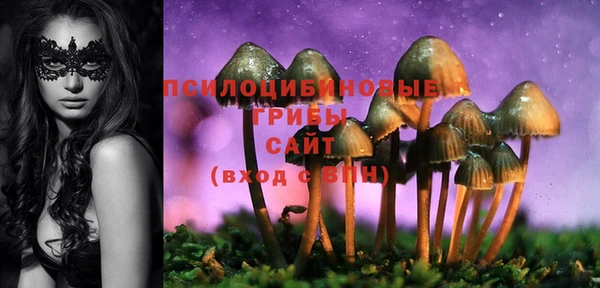 мет Алзамай