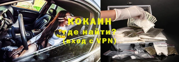 тгк Алексин